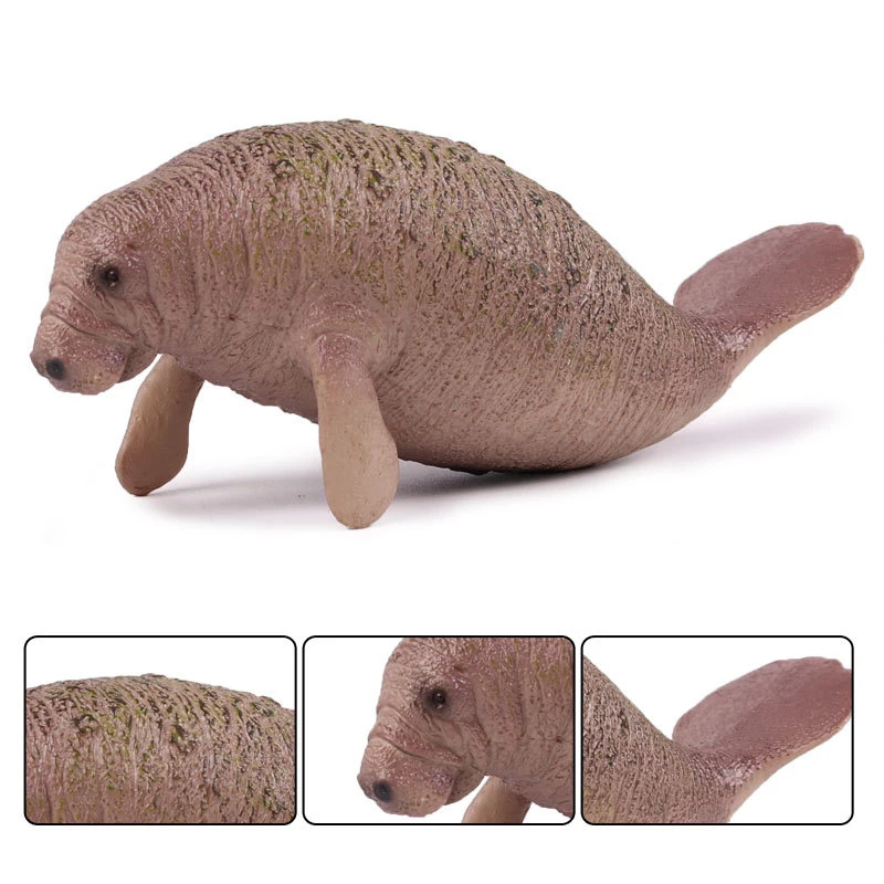  (2)