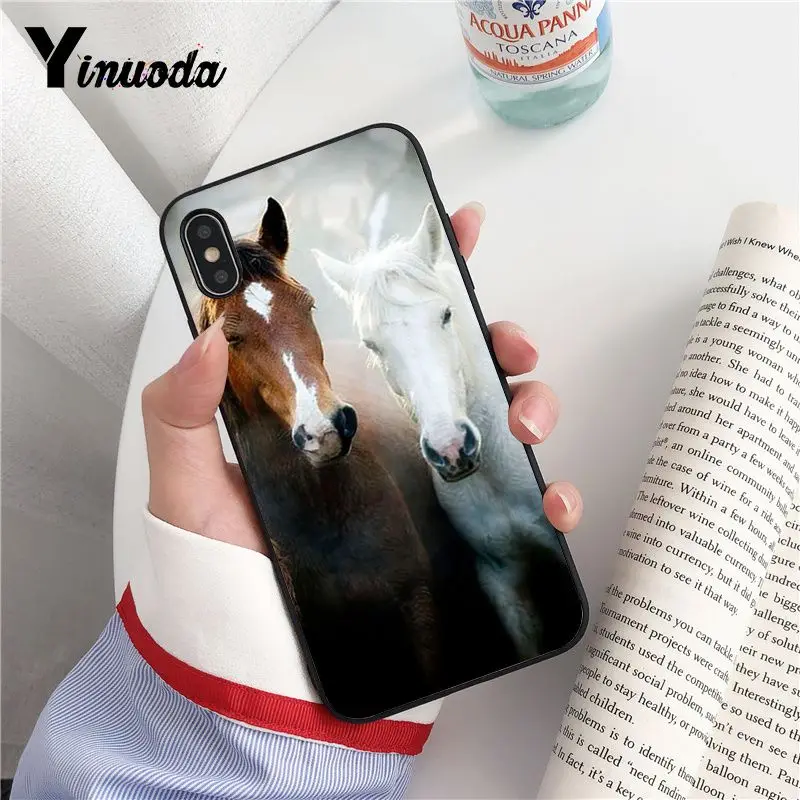 Animal Horse