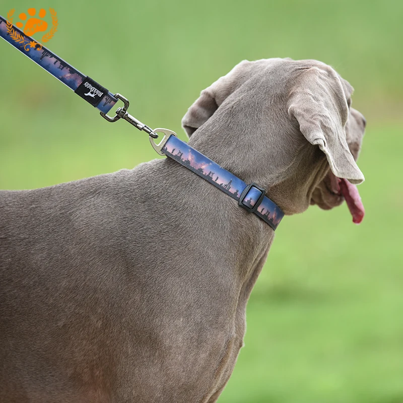 My Pet Collars Leashs Sets For Dog With Rubber Waterproof Deodorant