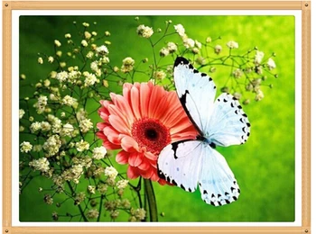 

Red Gerbera Butterfly 30x40 diamond painting cross stitch full diamond embroidery wedding decoration square drill christmas gift