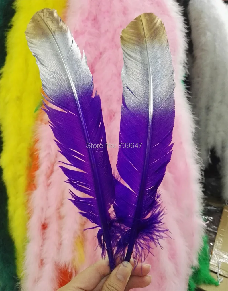 FMT0033 (2)