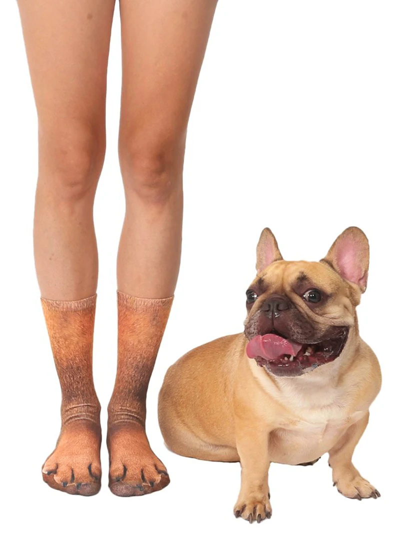 french-bulldog-dog_1024x1024