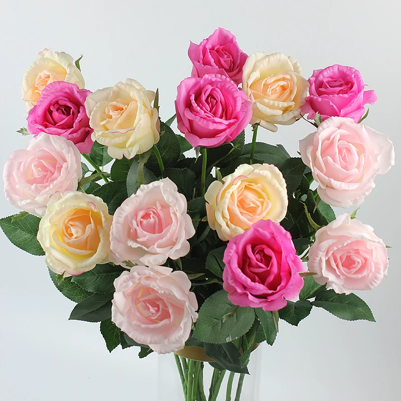5purple 5pink 5milk pink