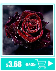 Полный 5D Diy Daimond Картина Вышивка крестом "Корзина роз и маргариток" 3D круглая Алмазная мозаика Стразы картины Вышивка