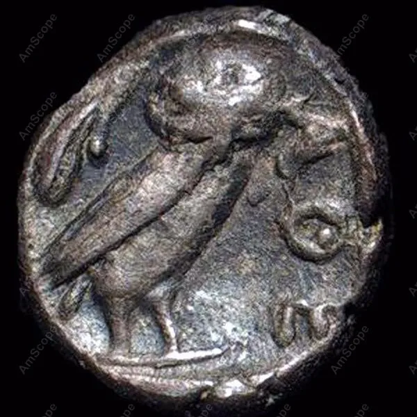 Sharp Stereo Microscope-AmScope Supplies Sharp Stereo Microscope 10X-30X 6