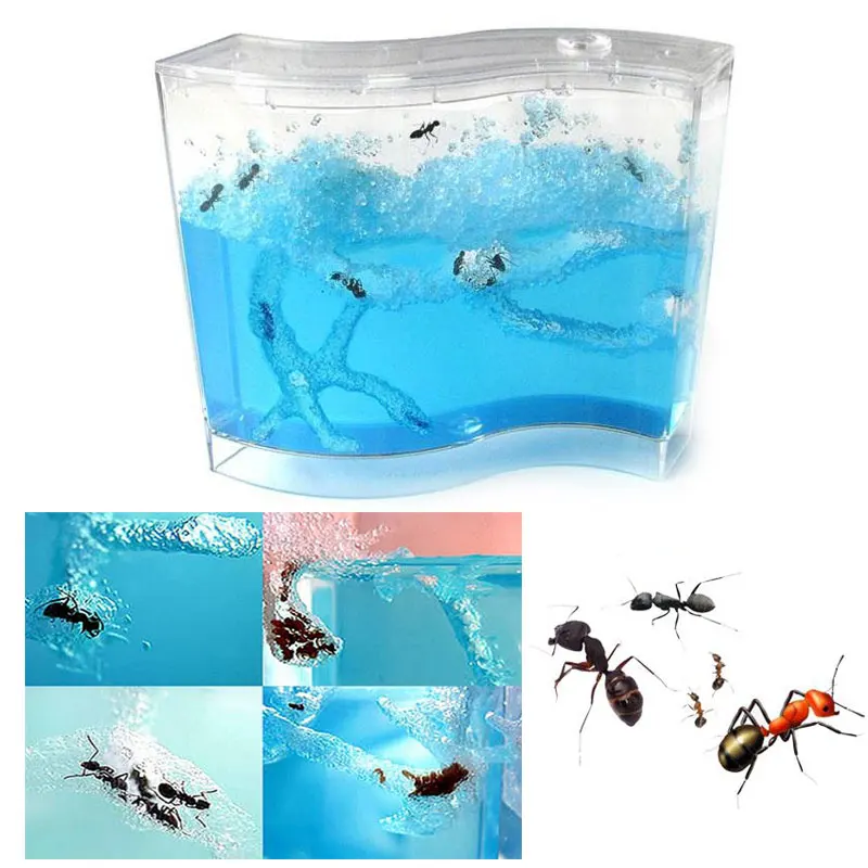 Ant House Colorful Gel Container Insects Terrarium Small Pet Toy Educational Ant Farm Acrylic