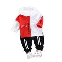 Baby-Boys-Clothes-Sets-2019-Toddler-Boys-Hooded-Sweatshirt-Pants-Set-Autumn-Children-Sportswear-Suit-Tracksuit_副本