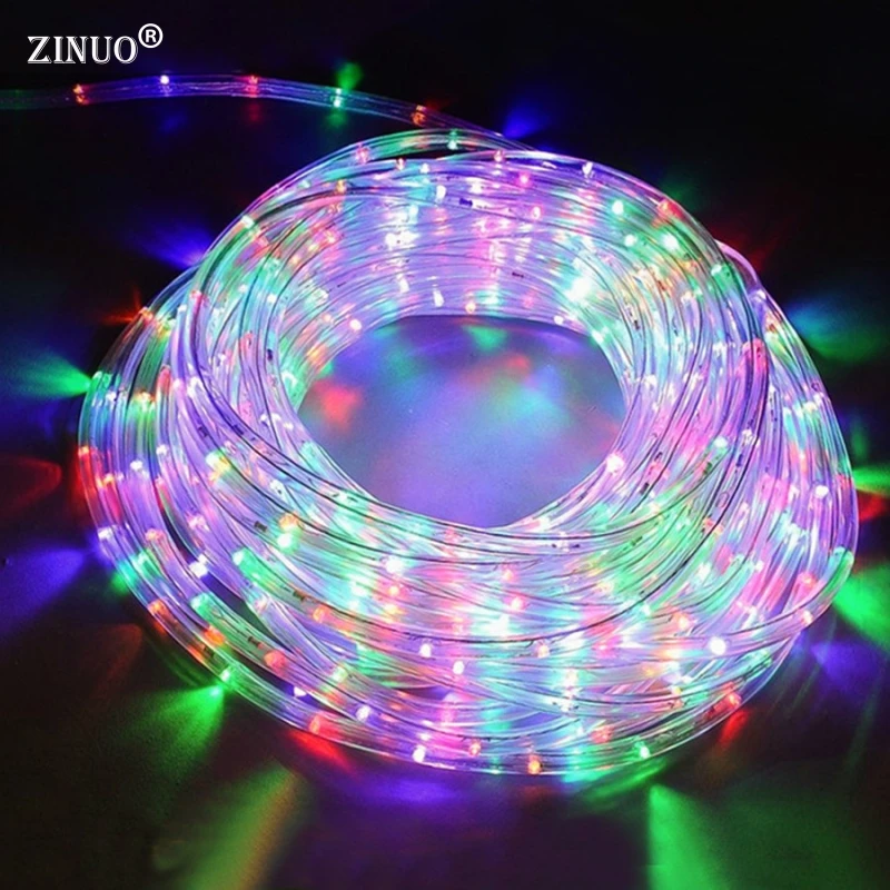 cheap AC220V LED Strip Light IP65 Waterproof 20Leds M With Plug 8 Mode Multicolor Copper Rainbow Tube LED Fairy Garden Light Outdoor b