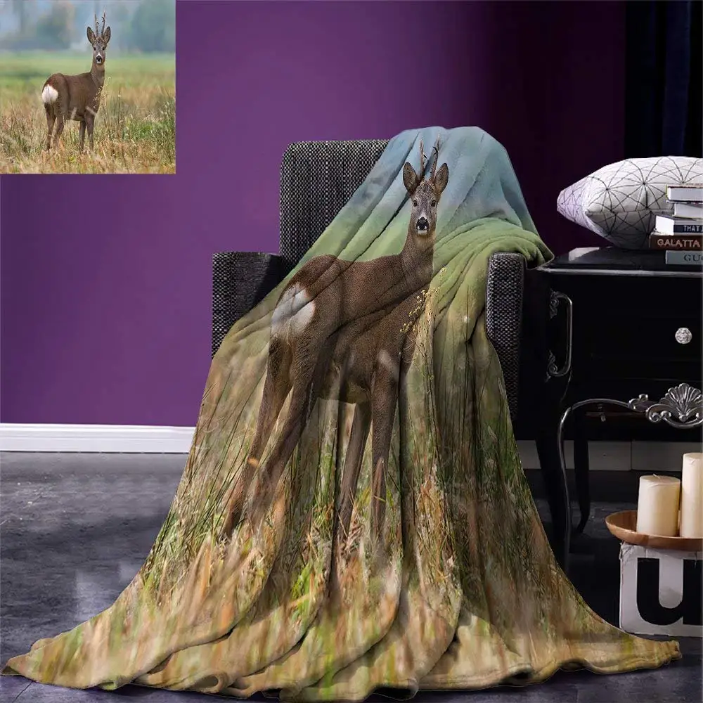 Hunting Decor Throw Blanket Roe Deer Male Capreolus Western European