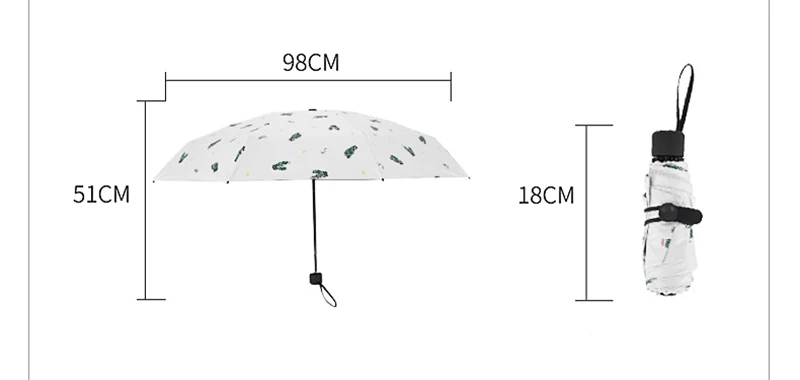 Transparent Umbrella (11)
