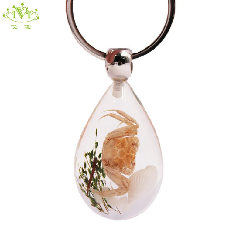 

Natural Crab Seaweed Shell Conch Trinket Real Animal Key Chains Shining Red Green Key Ring Llaveros Para Mujer Insect Key Lock