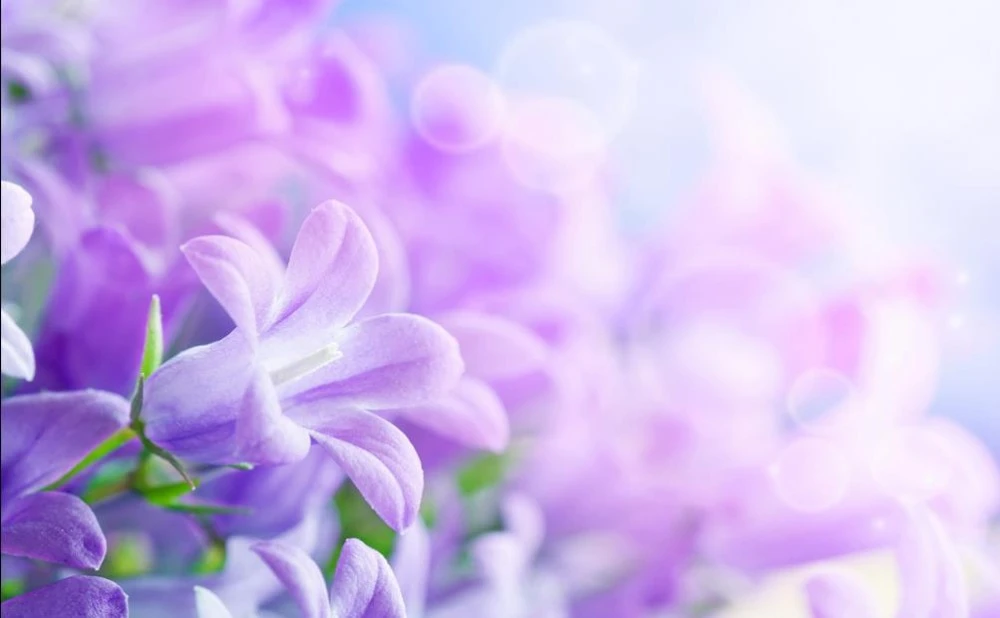 紫色の花をモチーフにした3dフラワー壁紙 カスタムメイドの壁紙 Custom 3d Mural Wallpaper 3d Flower Wallpapermural Wallpaper Aliexpress