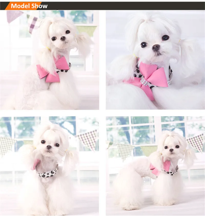 Dog Harness Small  (3)