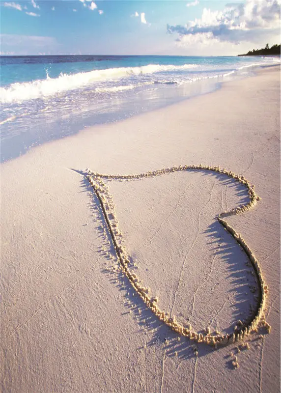 

beach sea heart background vinyl 5x7ft or 3x5ft stor photo studio backdrops wedding
