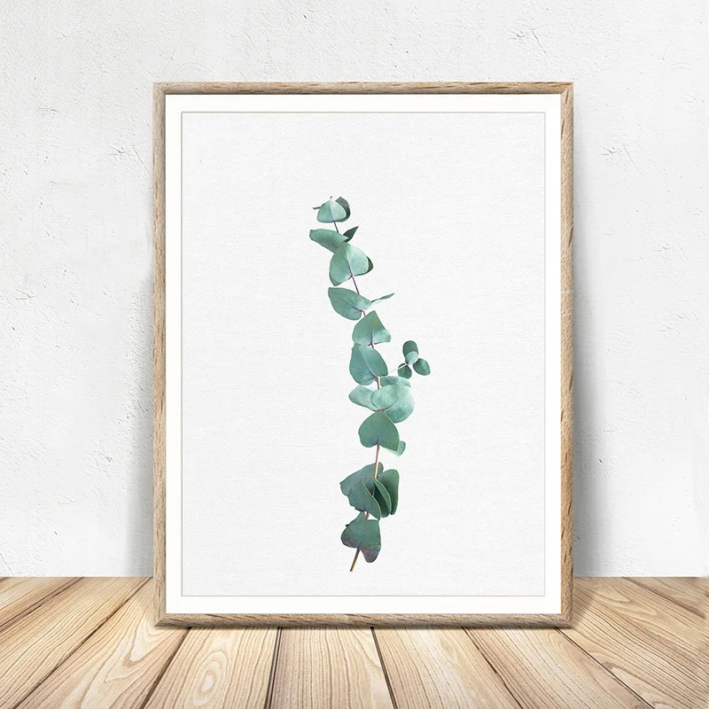 Australian Eucalyptus Leaf Print Wall Art Canvas Modern Posters and Prints Botanical Plant Painting Pictures for Living Room|Рисование и