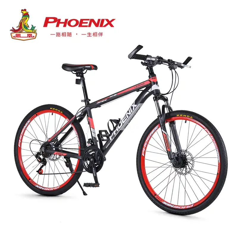 mtb phoenix 26