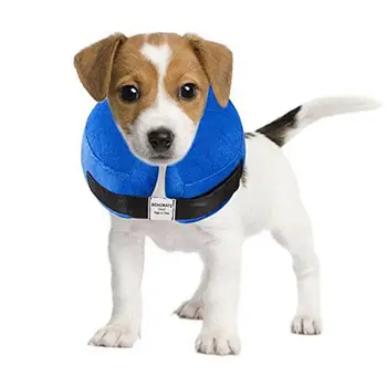 

Inflatable Pet Protection Cover High Quality Washable Protective Collar for Border Collie, Spaniel, Etc