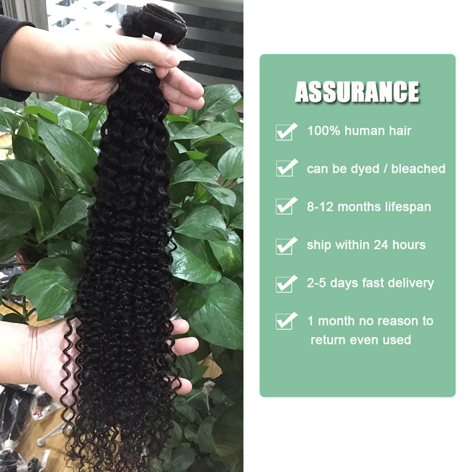 Malaysian Virgin Hair 4 Bundles With Closure Ably 100% Unprocessed Human Hair Weft Weave Extensions Curly Bundles With Closure