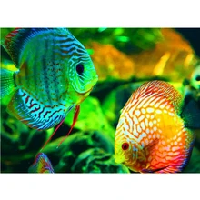 На заказ Алмазная картина eigen foto Птица Животное Цвет Рыба 5d Мандала Алмазная картина Полная площадь/круглые фильмы для украшения дома