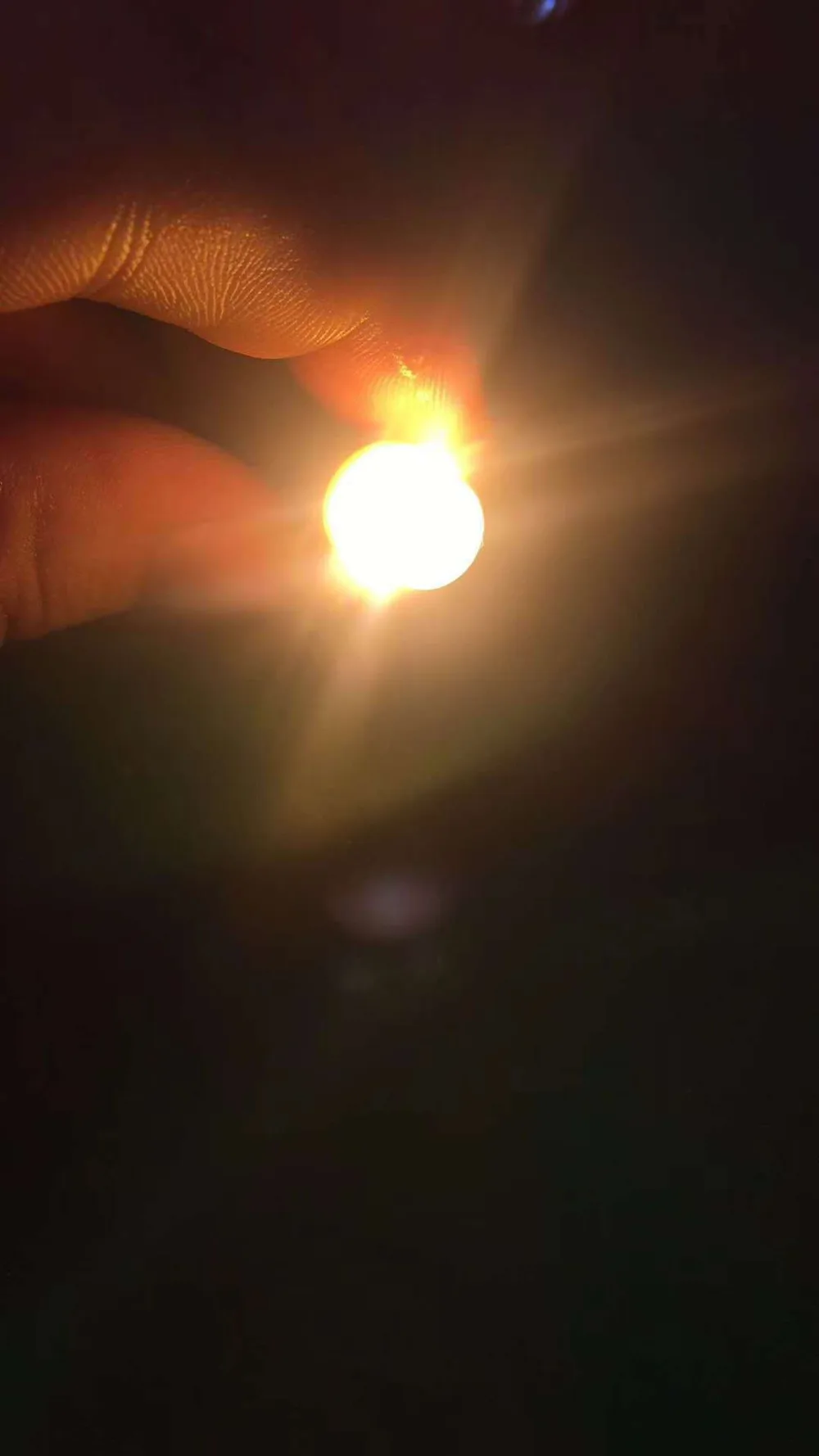 8965537429_1082100015