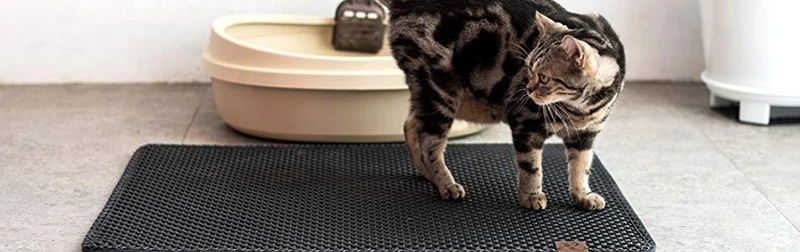 Pets Dog Cat Litter Mat Double-Layer EVA Waterproof Cat Catcher Catch Mat Trapper Pad Smooth Surface Breathable Holes Kitty Bed6