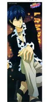 

Katekyo Hitman Reborn Anime Lambo 105*40CM Wall Scroll Poster #25076