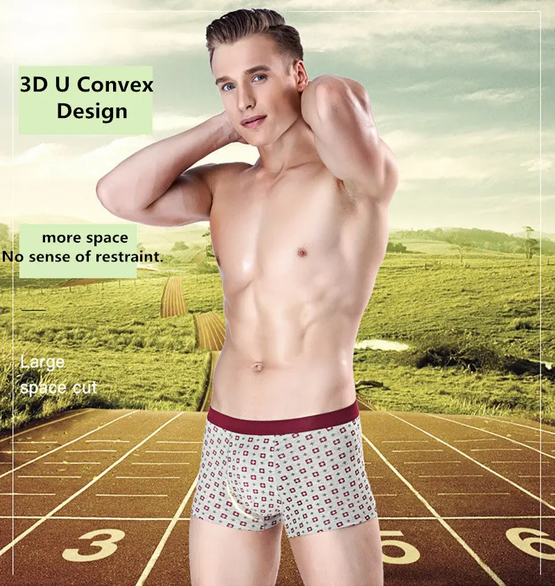 boxer002