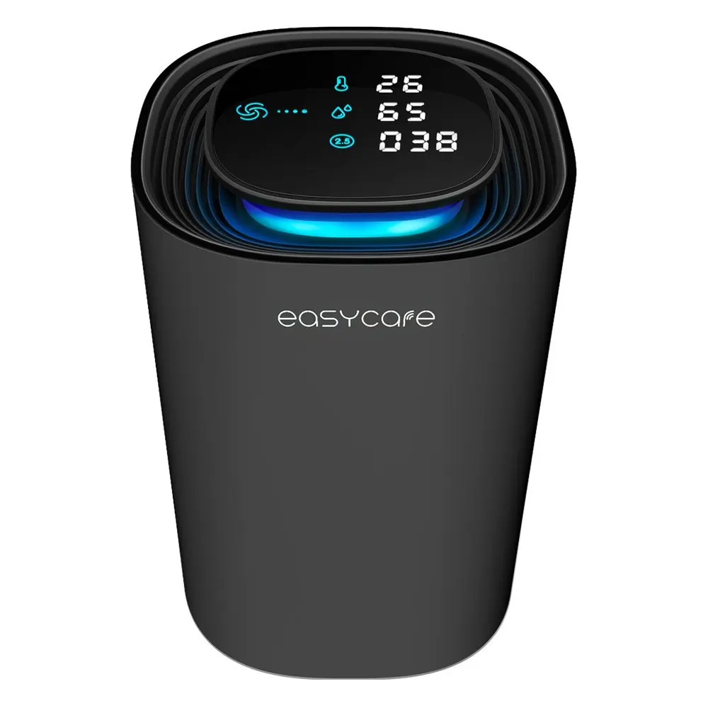 car air purifier (1)