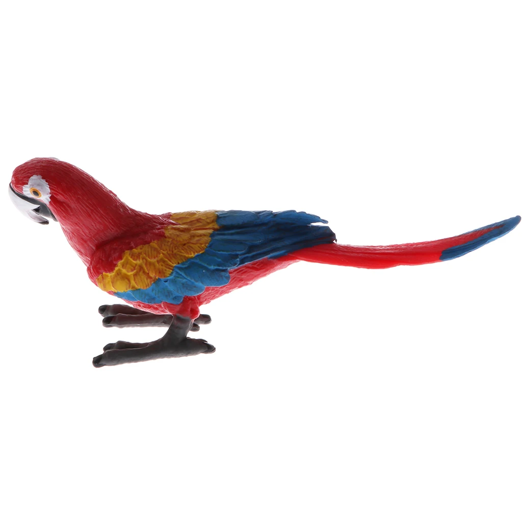 Plastic Realistic Wildlife Jungle Forest Animals Parrot Action Figure Toys Playset, Eduactional Toys For Kids Collectibles