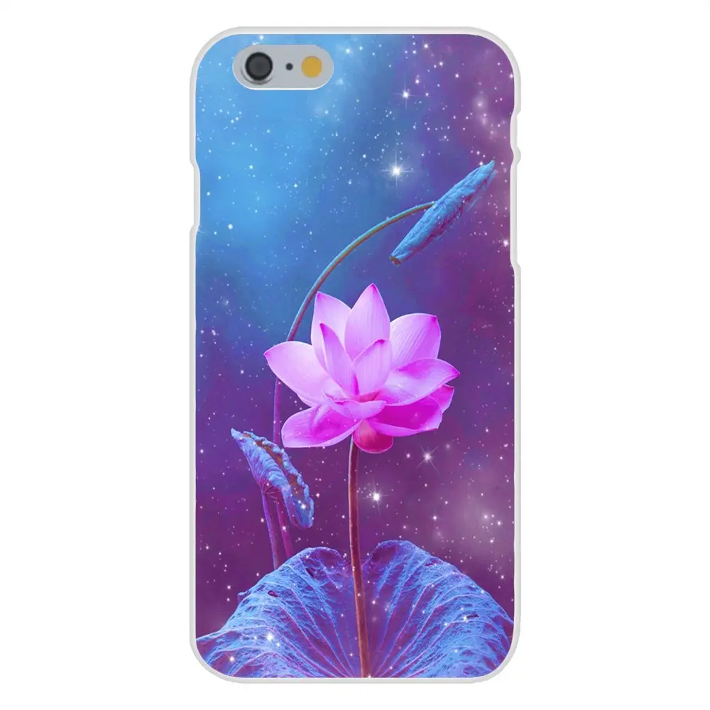 005 (17)