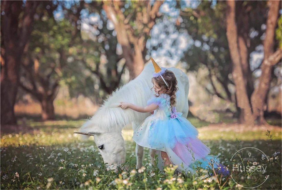 O1CN01zAVx0o22xh3PaOQQX_!!58087187