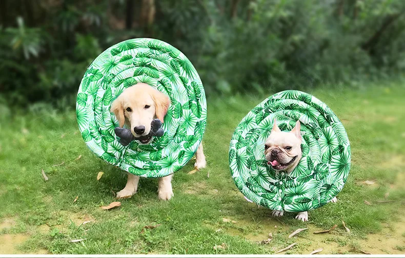 coleira eletrônica de nylon para coleira protetora para cães grandes pequenos