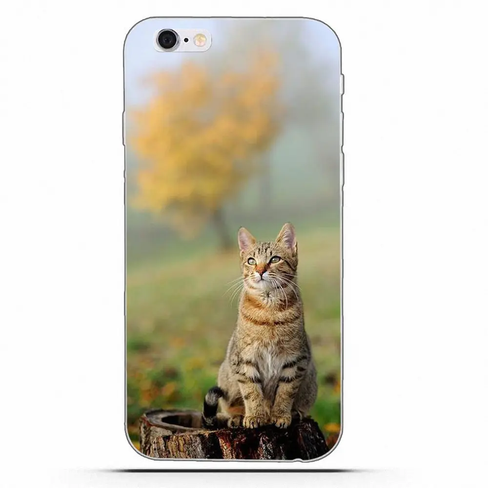 ТПУ чехлы для телефонов чехол Sony Xperia Z Z1 Z2 Z3 Z4 Z5 compact Mini Premium M2 M4 M5 T3 E3 E5 XA melancholy cat lovely