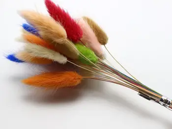 

Mini Natural Dry Rabbit Tail Grass Mixed Color 30Pcs A Bunch Natural Dried