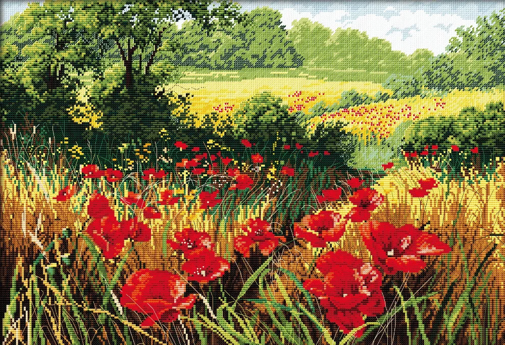 130008 Poppy blossom_