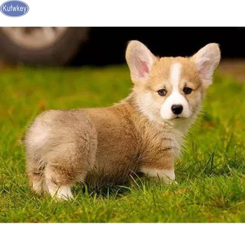 

DIY Diamond Embroidery,5d Diamond Painting Pembroke Welsh Corgi Dog Cut dog,Cross Stitch,3D,Diamond Mosaic,Needlework,decor,gift