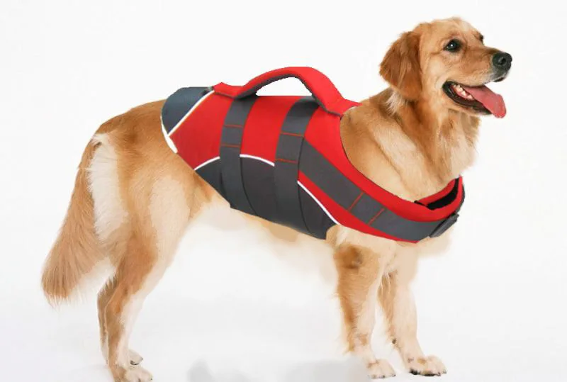

Pet Dog Life Jacket Safety Clothes Life Vest Collar Harness Saver Pet Dog Swimming Preserver Summer Swimwear