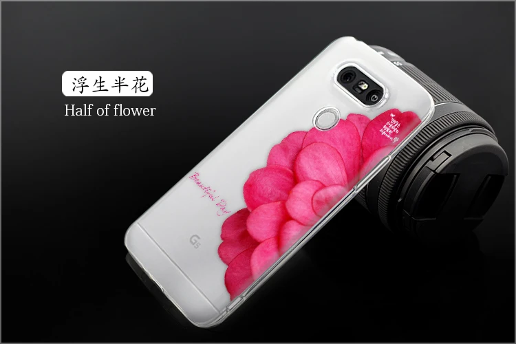 LGG5-12