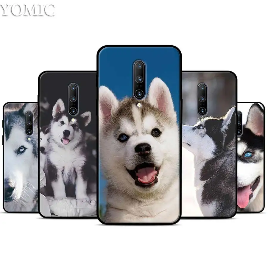 Animal Husky puppy Silicone Case for font b Oneplus b font font b 7 b font