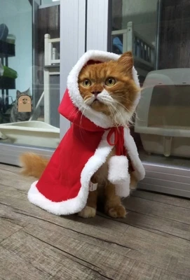 TB2qH8gxLiSBuNkSnhJXXbDcpXa_!!0-rate.jpg_400x400 (1)