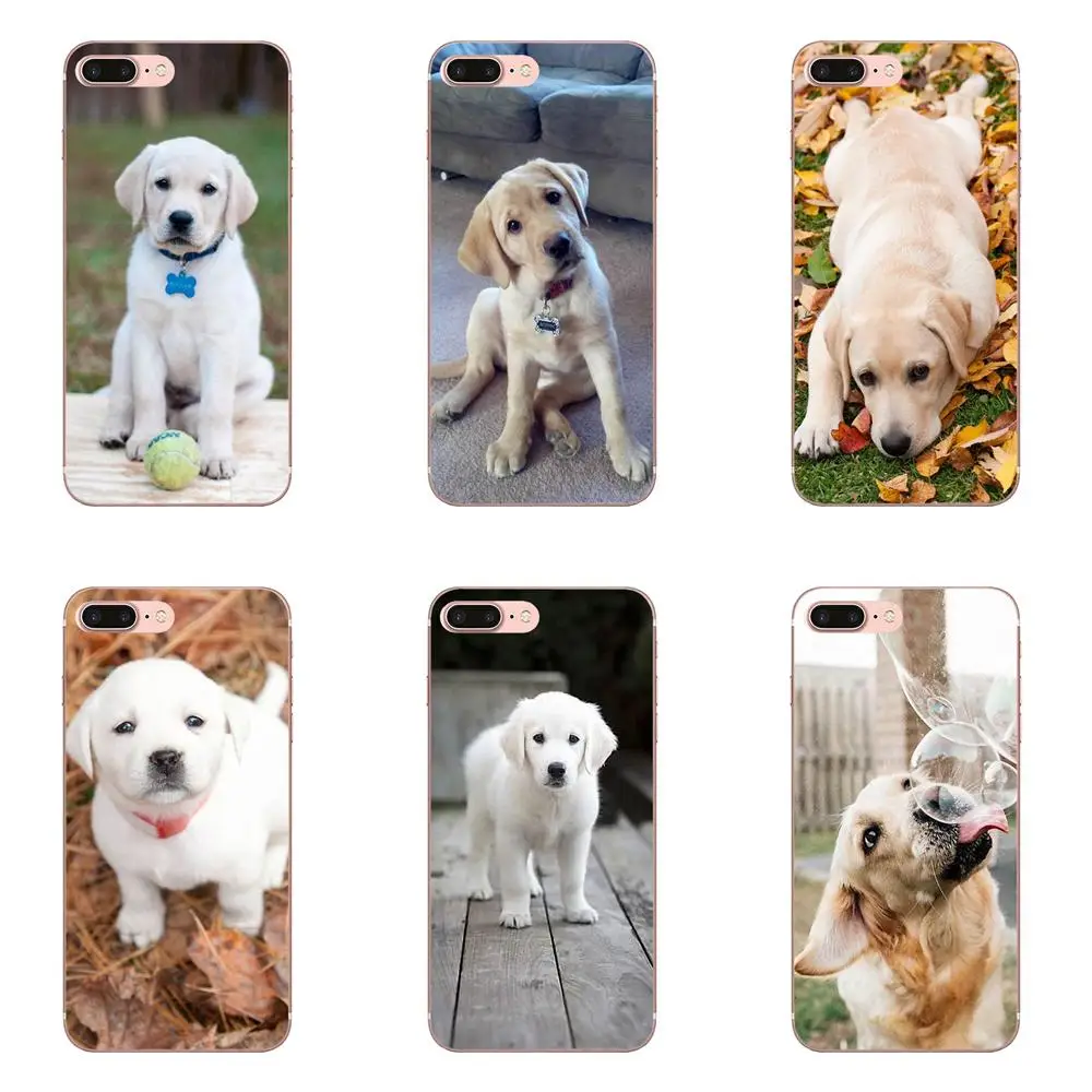 

Soft Fashion Mobile Phone Labrador Puppies Dog For Samsung Galaxy Note 5 8 9 S3 S4 S5 S6 S7 S8 S9 S10 mini Edge Plus Lite