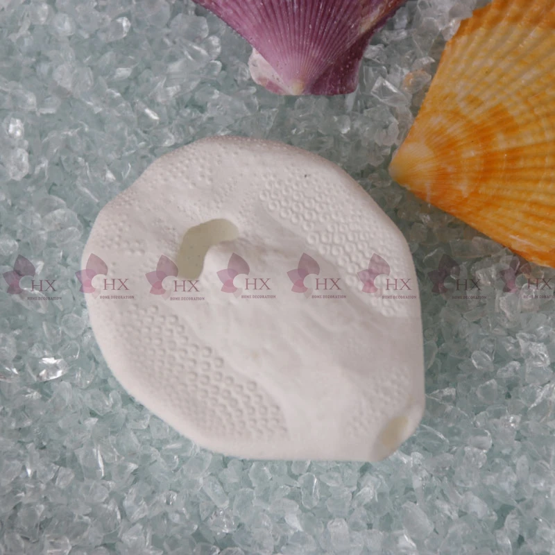 Get Decoration De Mariage En Coquillage D Oursin De Mer Livraison For iPhone Wallpaper Decoration De Mariage En Coquillage D Oursin De Mer Livraison Desktop Wallpaper Free