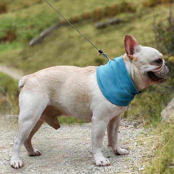 

Summer Pet Supplies Instant Cooling Pet Bandana Dog Scarf Bulldog Cooling Towel Wrap Dog Collar Pet Accessories