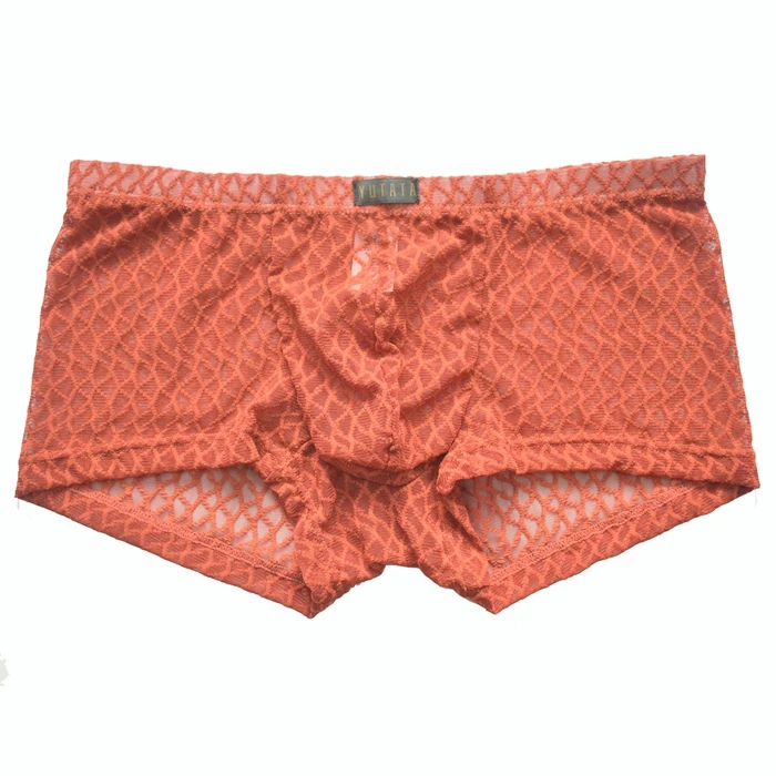 Sexy Mens Mesh Underwear Boxer Shorts Summer Males Underpants Solid Cueca Breathable Gay Lingerie Bottoms Bulge Pouch Knickers