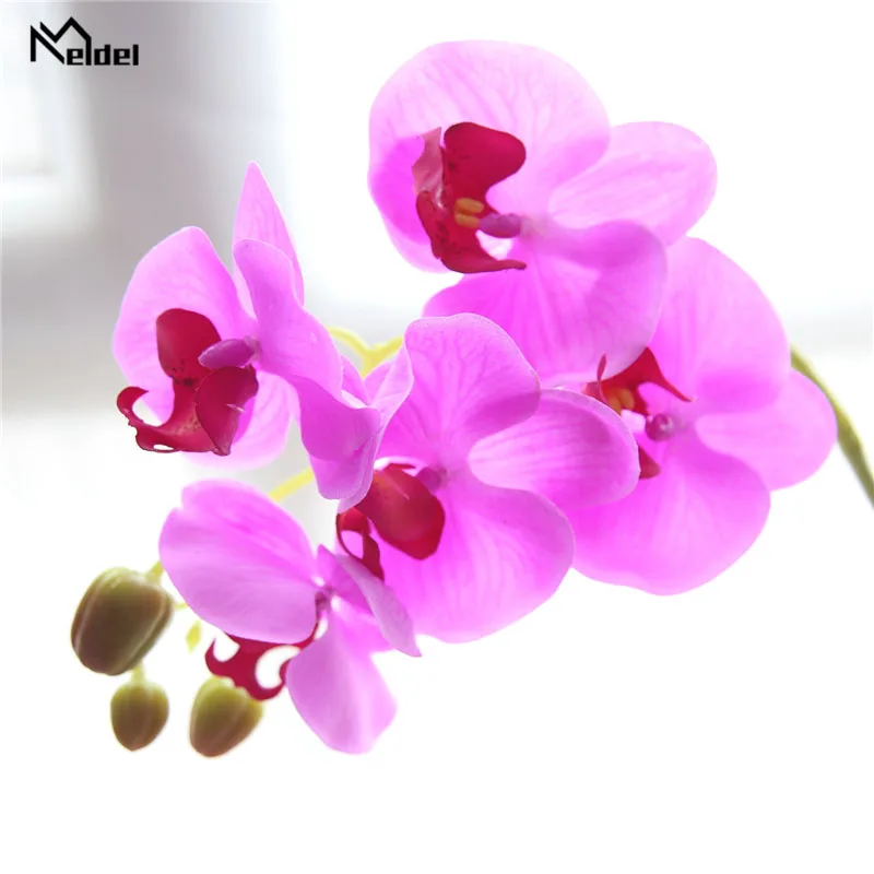 紫色-purple