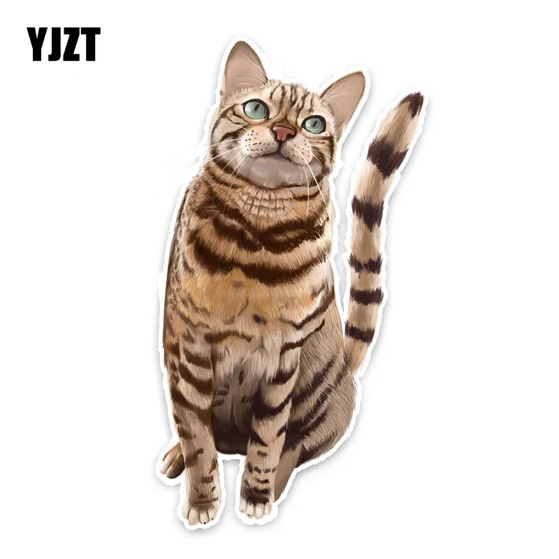 

YJZT 9CM*16.5CM Personalized Animal Cat Car Styling Car Sticker Decal PVC 5-1282