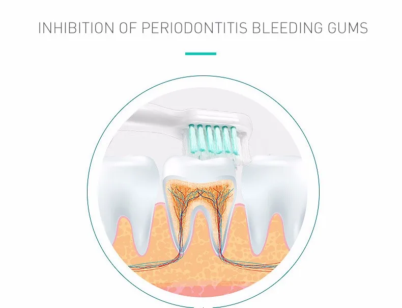 Детская электрическая зубная щетка для взрослых, водонепроницаемая ультразвуковая гигиена полости рта, приспособления для ухода за зубами для дома с 3 щеточными головками