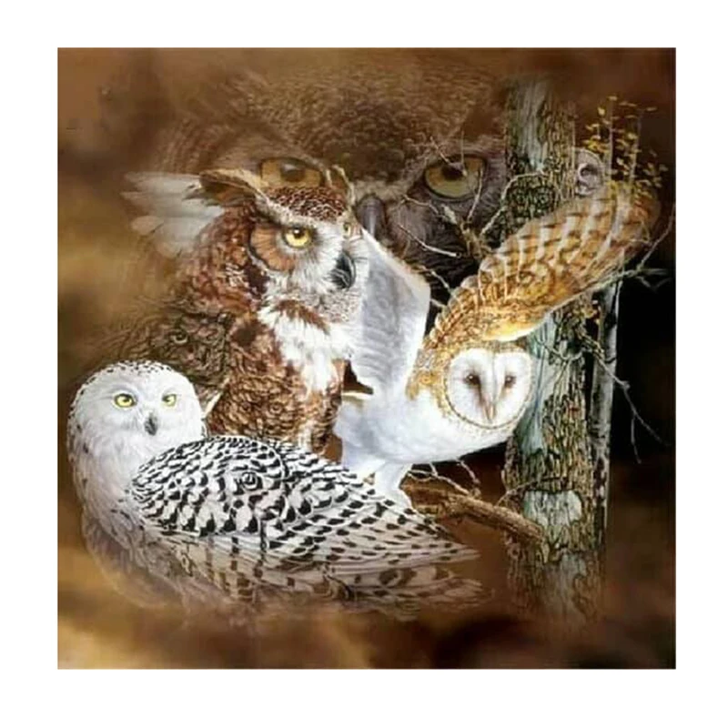 22192768_1299317996858282_1208830401_n