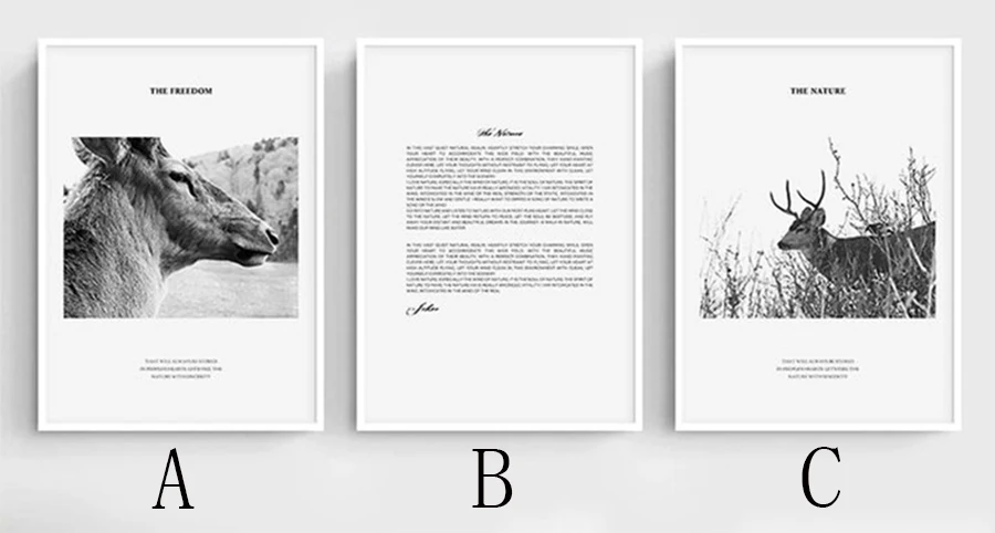 ANIMALS POSTER