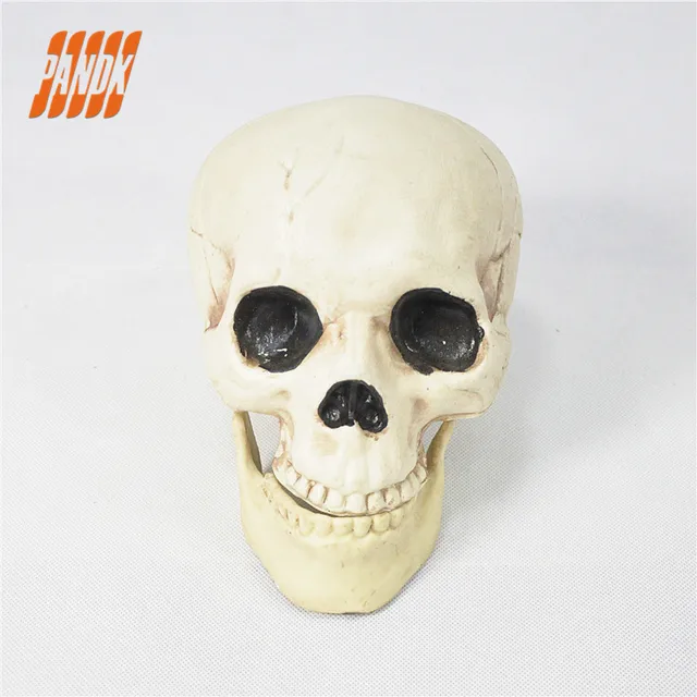 halloween skull plastic life size realistic skull prop scary decorations props haunted house ideas halloween party - Scary Props halloween skull plastic life size realistic skull prop scary decorations props haunted house ideas halloween party - Scary Props